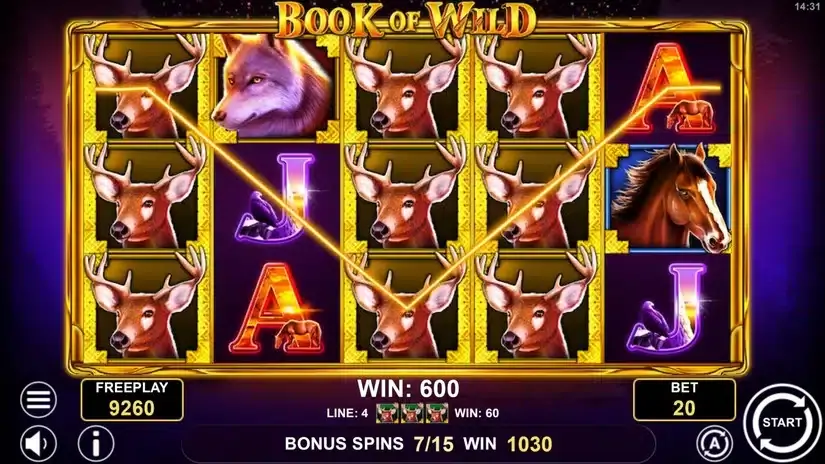 Book of Wild slot screenshot 