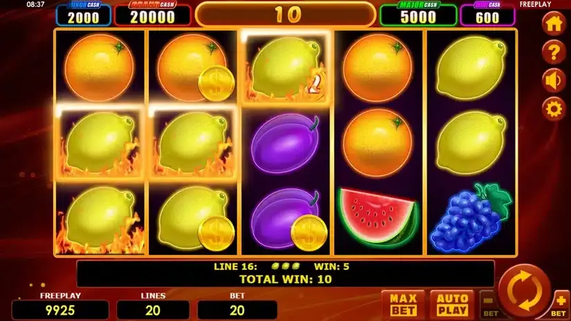 Hot Fruits 20 Cash Spins slot screenshot 