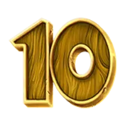 icon 10