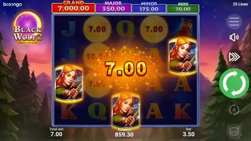 Black Wolf 2 slot screenshot 2