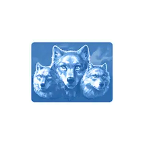 Bonus Buy CALL OF THE WILD