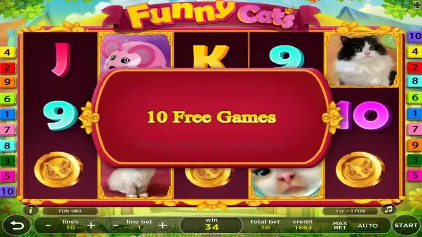 Funny Cats slot screenshot 5