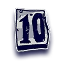 icon 10