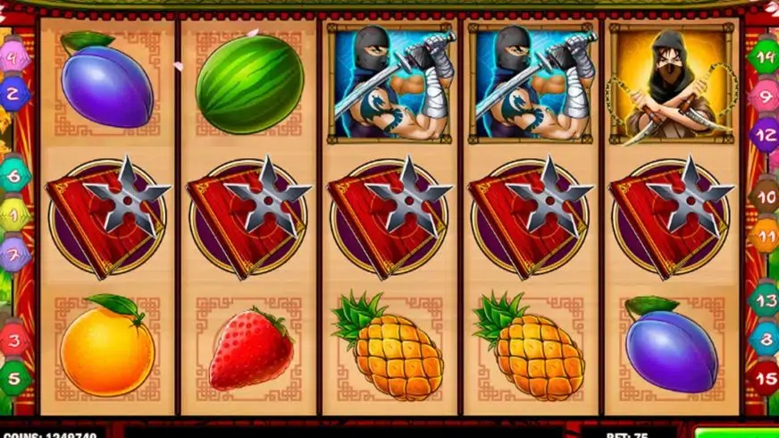 Ninja Fruits slot screenshot 1