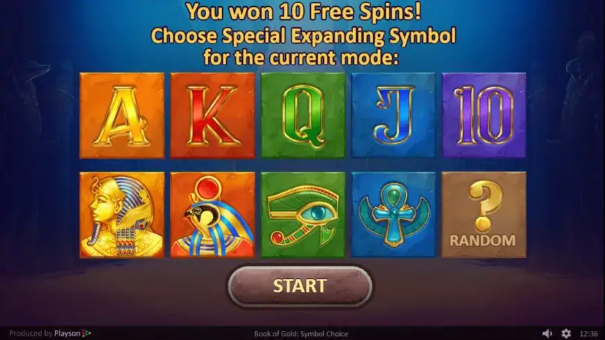 Book of Gold: Symbol Choice slot screenshot 3