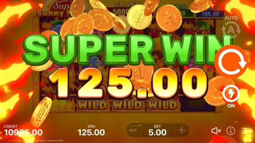 Super Sunny Fruits slot screenshot 3