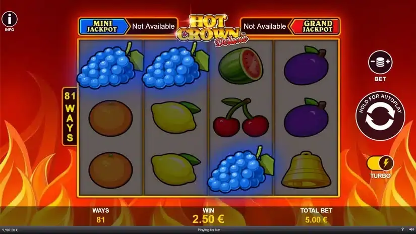 Hot Crown Deluxe slot screenshot 3