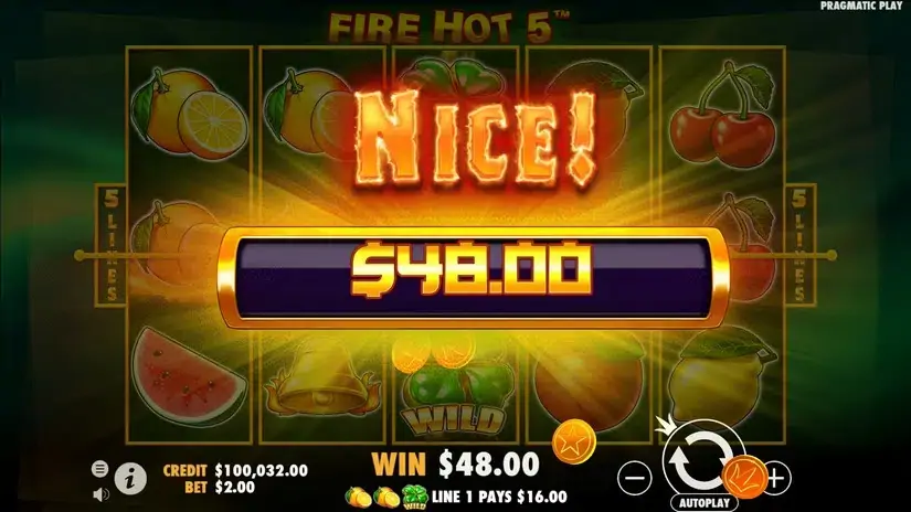 Fire Hot 5 slot screenshot 4