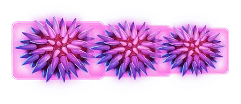 Bonus Buy 10 Free Spins