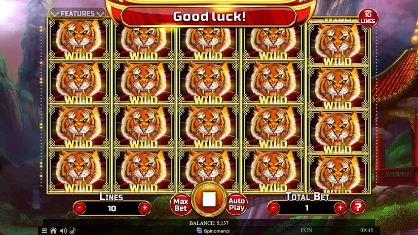 Year of the Tiger slot screenshot 4